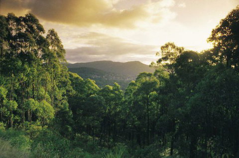 3 Kings Bed And Breakfast - Travel Agents 4